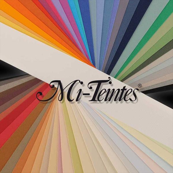 Canson Mi-Teintes