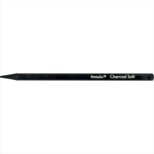 Pentalic Charcoal Pencils