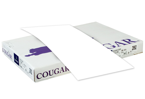 Cougar Papers  (26"x40") - Image 1
